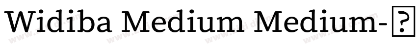 Widiba Medium Medium字体转换 Widiba Medium Medium字体转换